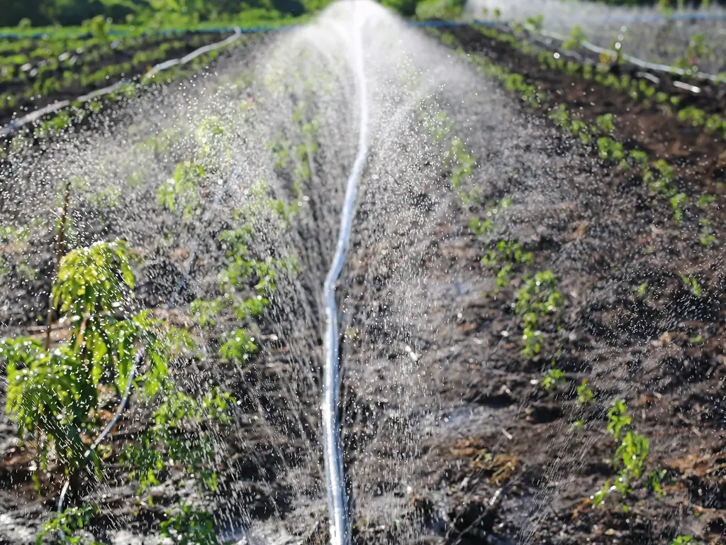 Solar Solutions for Smart Farmers