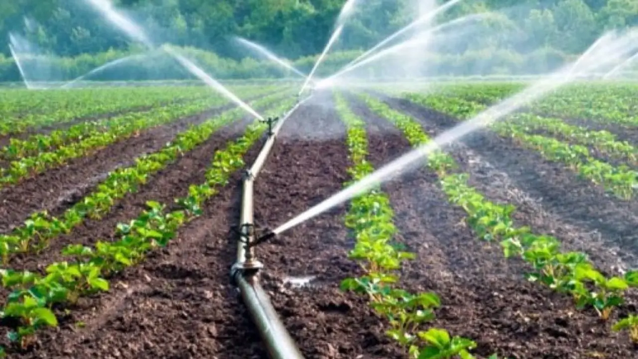 Drip Irrigation